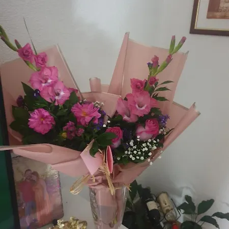 Flowers House * Bihać
