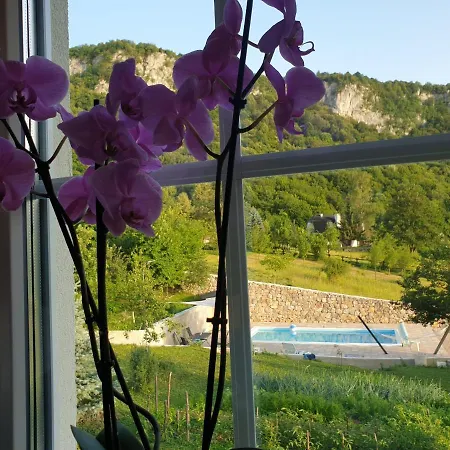 Flowers House *